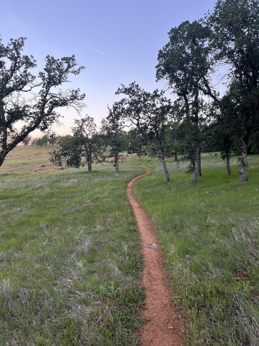 Kevin Cummings tweet media