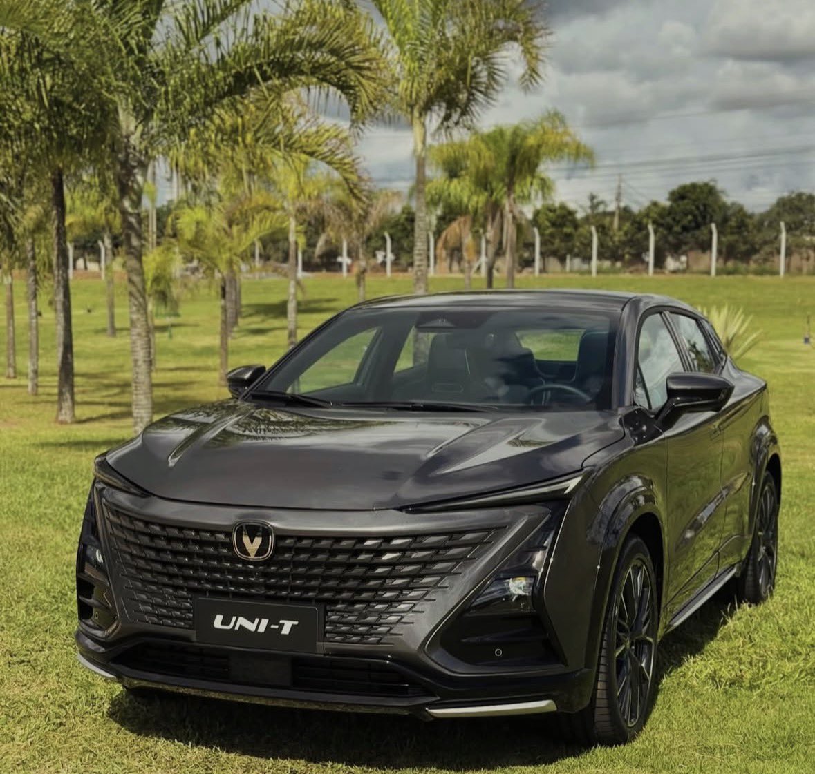 Mauro Ferreira tweet media