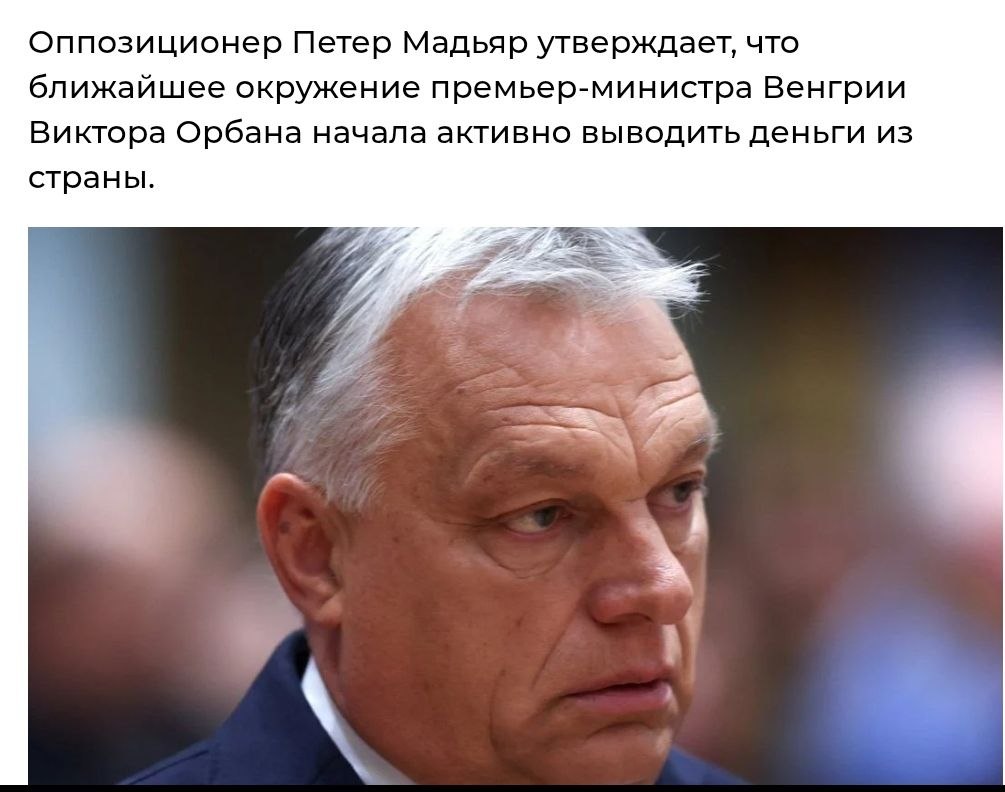 Siegfried 💙💛💩Brandenburg gegen Nazis💩 tweet media