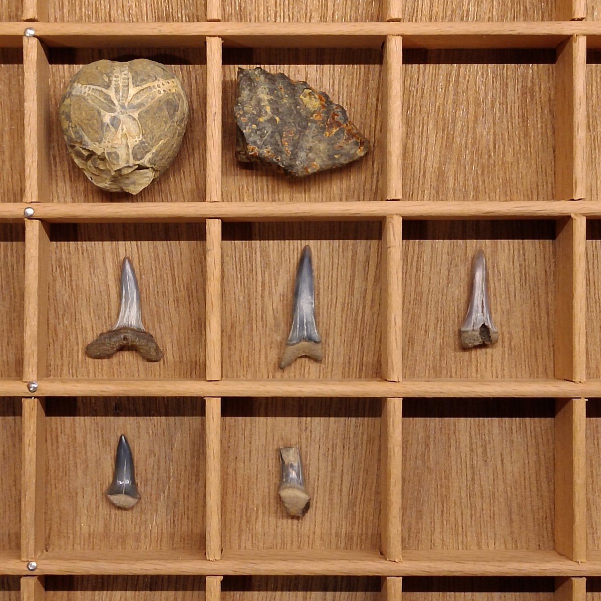 Suffolk Detectorist tweet media