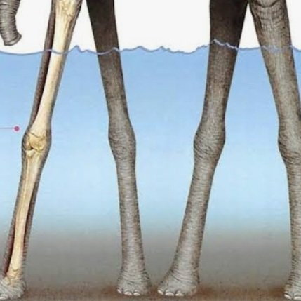 poop ass tweet media