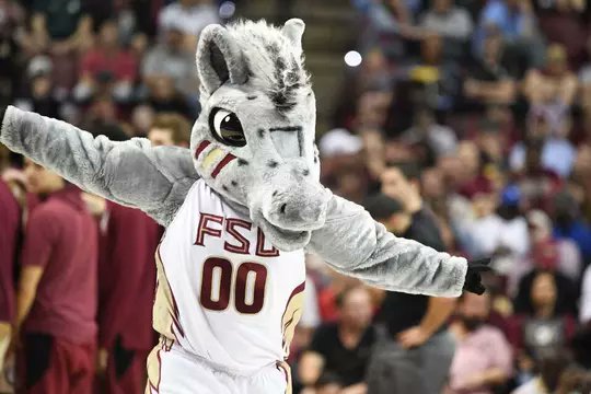 seminole4life22's tweet photo. everyone wants to talk about the red solo cup guy but this is the real culprit that's cursed FSU sports https://t.co/5liQgYujS3