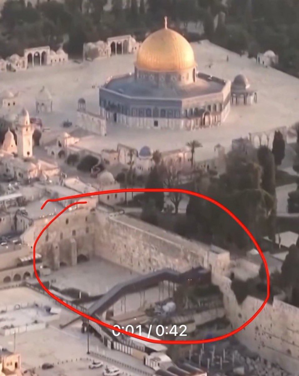 @IsraelVive tweet media