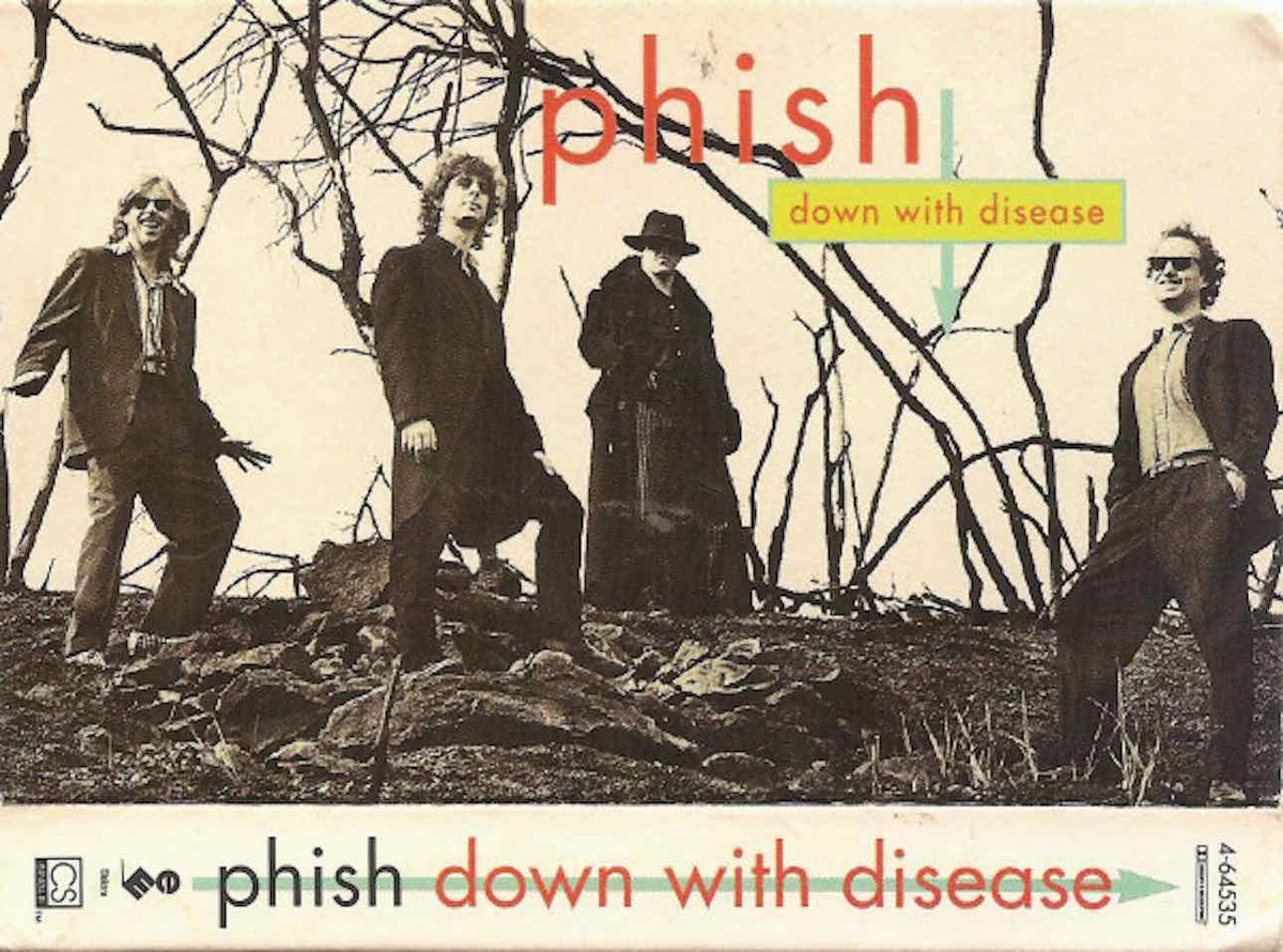 Kevin Shapiro tweet media