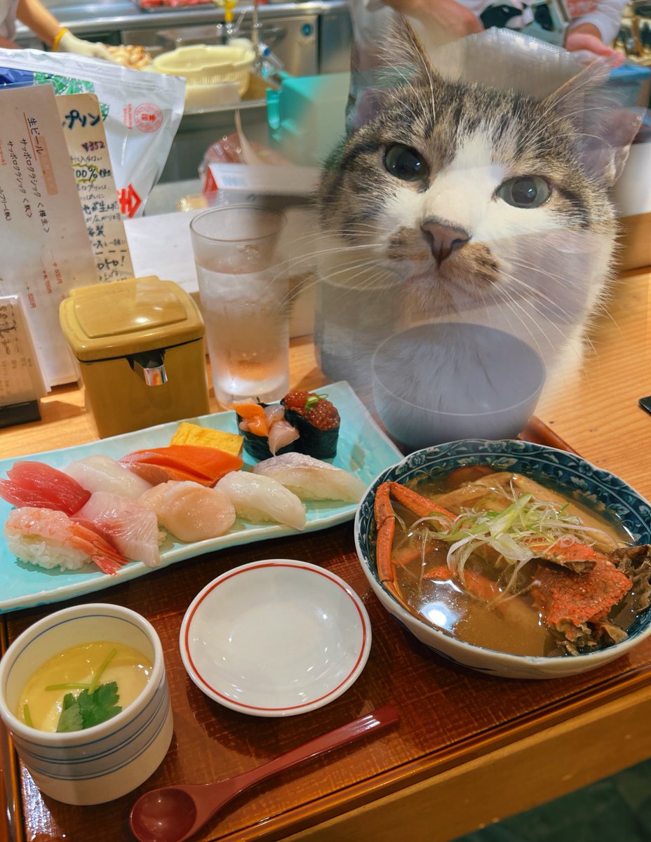 ドーナツてるの tweet media