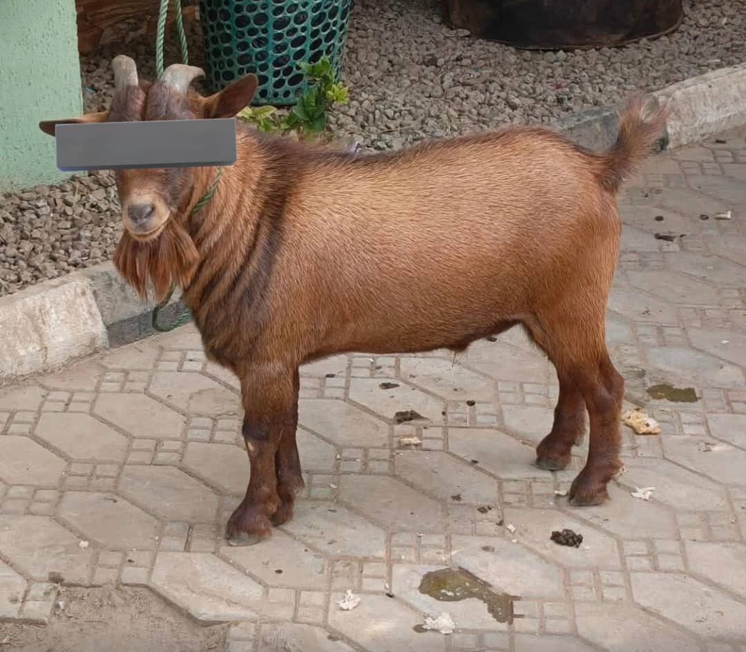 ANON™️ tweet media