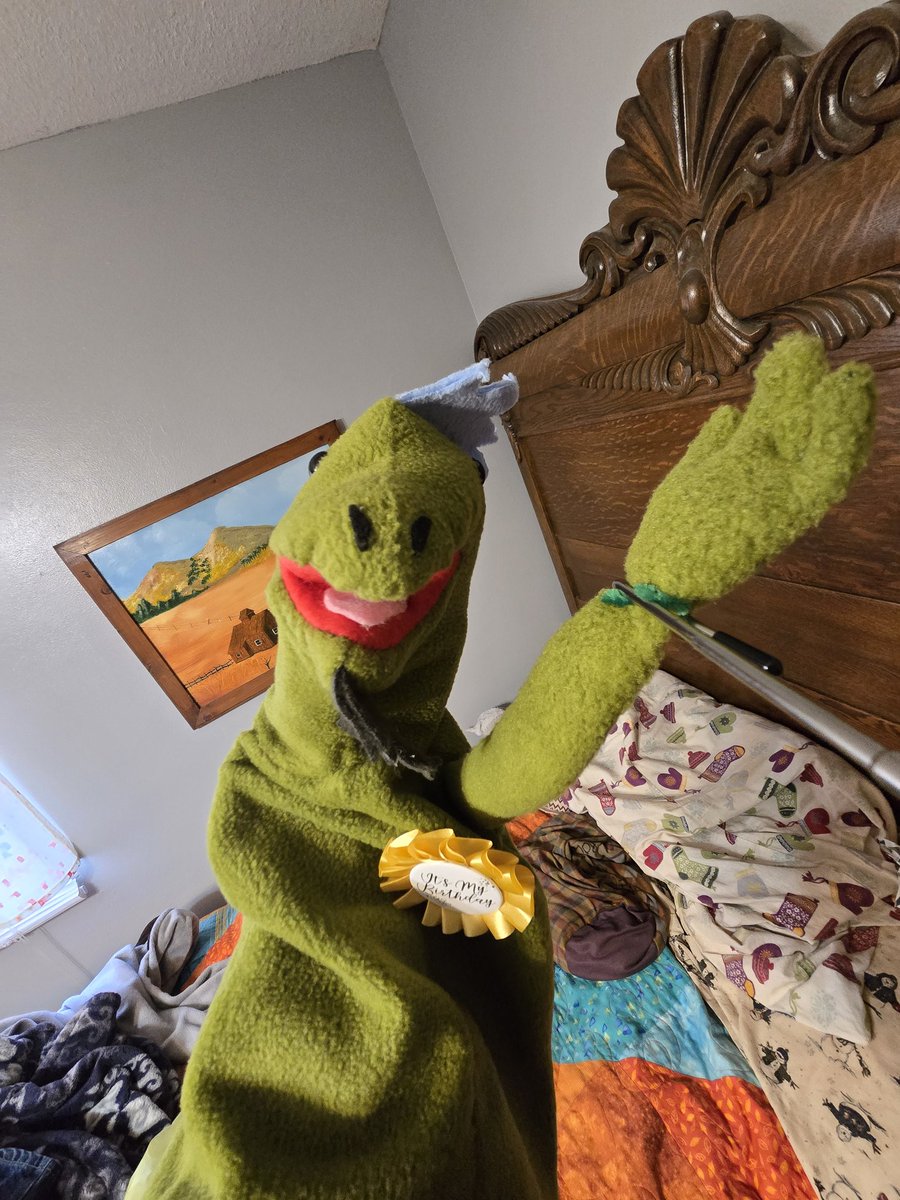 TheSpadesFly's tweet photo. Meet James the Iguana. Its his birthday today. https://t.co/9NOPI6oepL