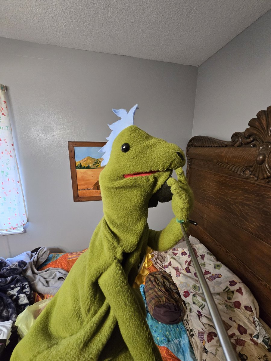 TheSpadesFly's tweet photo. Meet James the Iguana. Its his birthday today. https://t.co/9NOPI6oepL