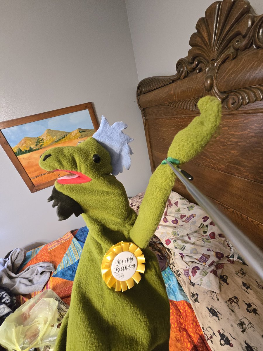 TheSpadesFly's tweet photo. Meet James the Iguana. Its his birthday today. https://t.co/9NOPI6oepL