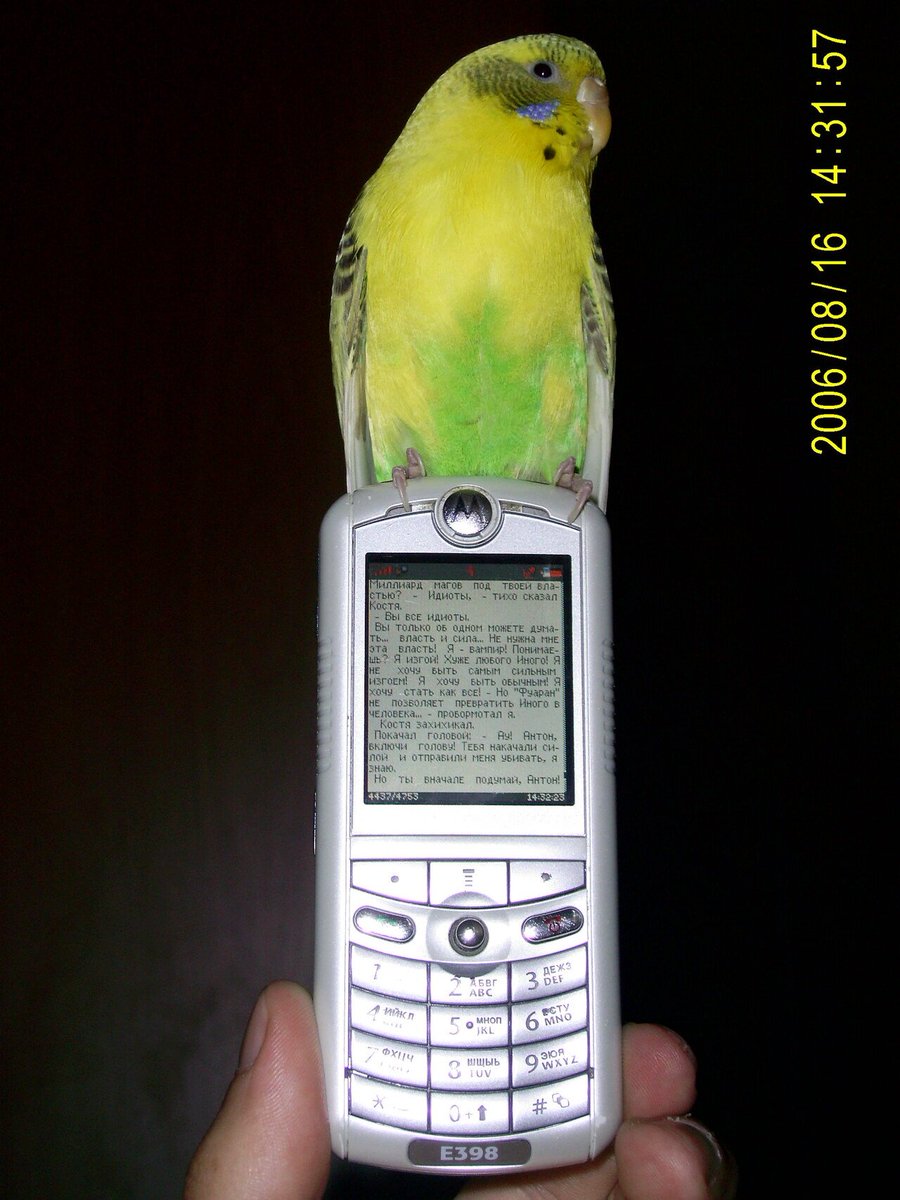 Сергій Сергійович tweet media