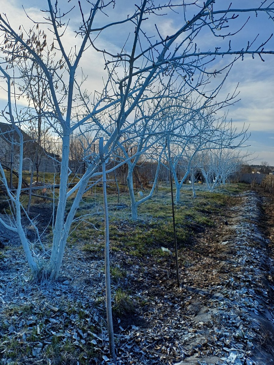 пані Миша 🐭💙💛 tweet media