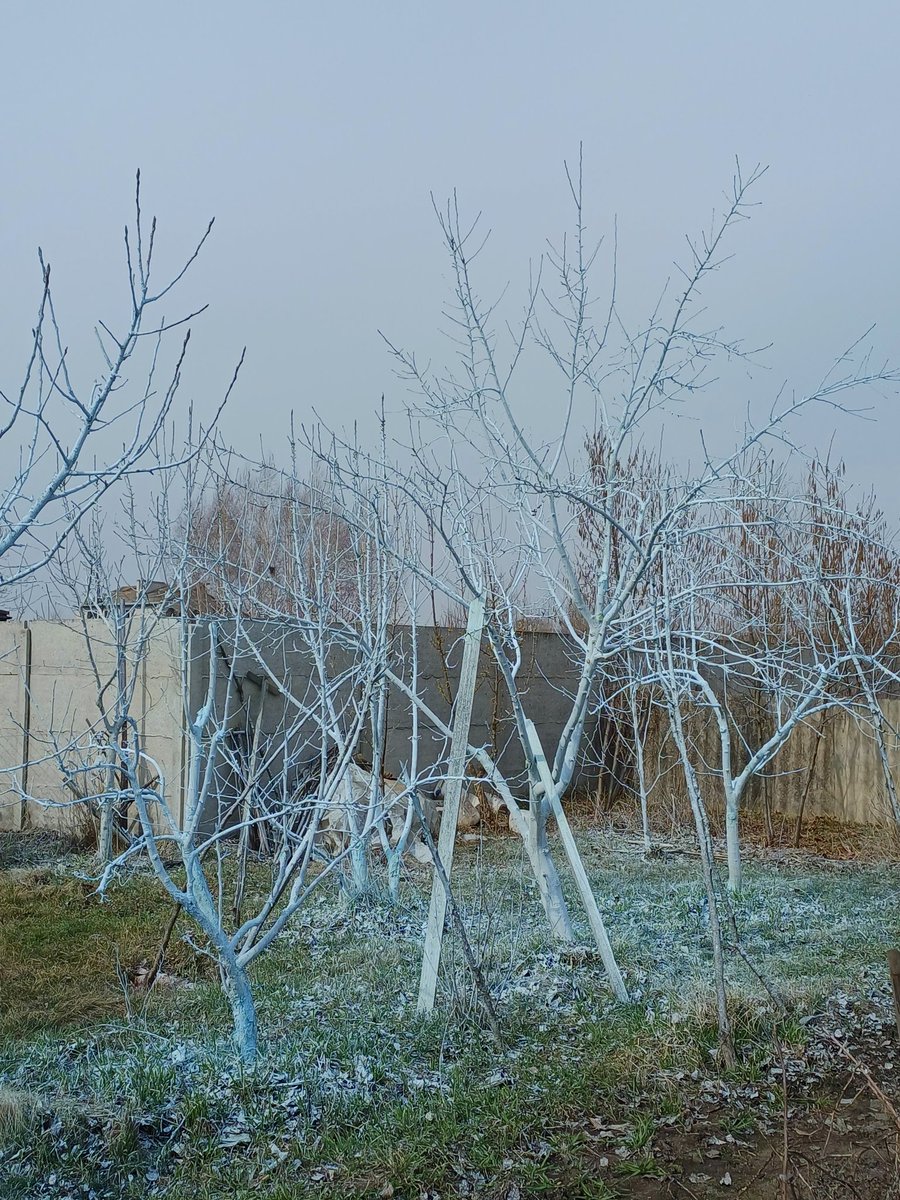 пані Миша 🐭💙💛 tweet media