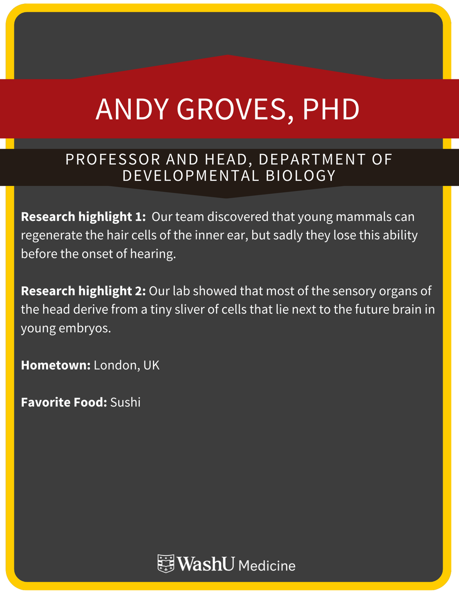 WashU Medicine Genetics tweet media