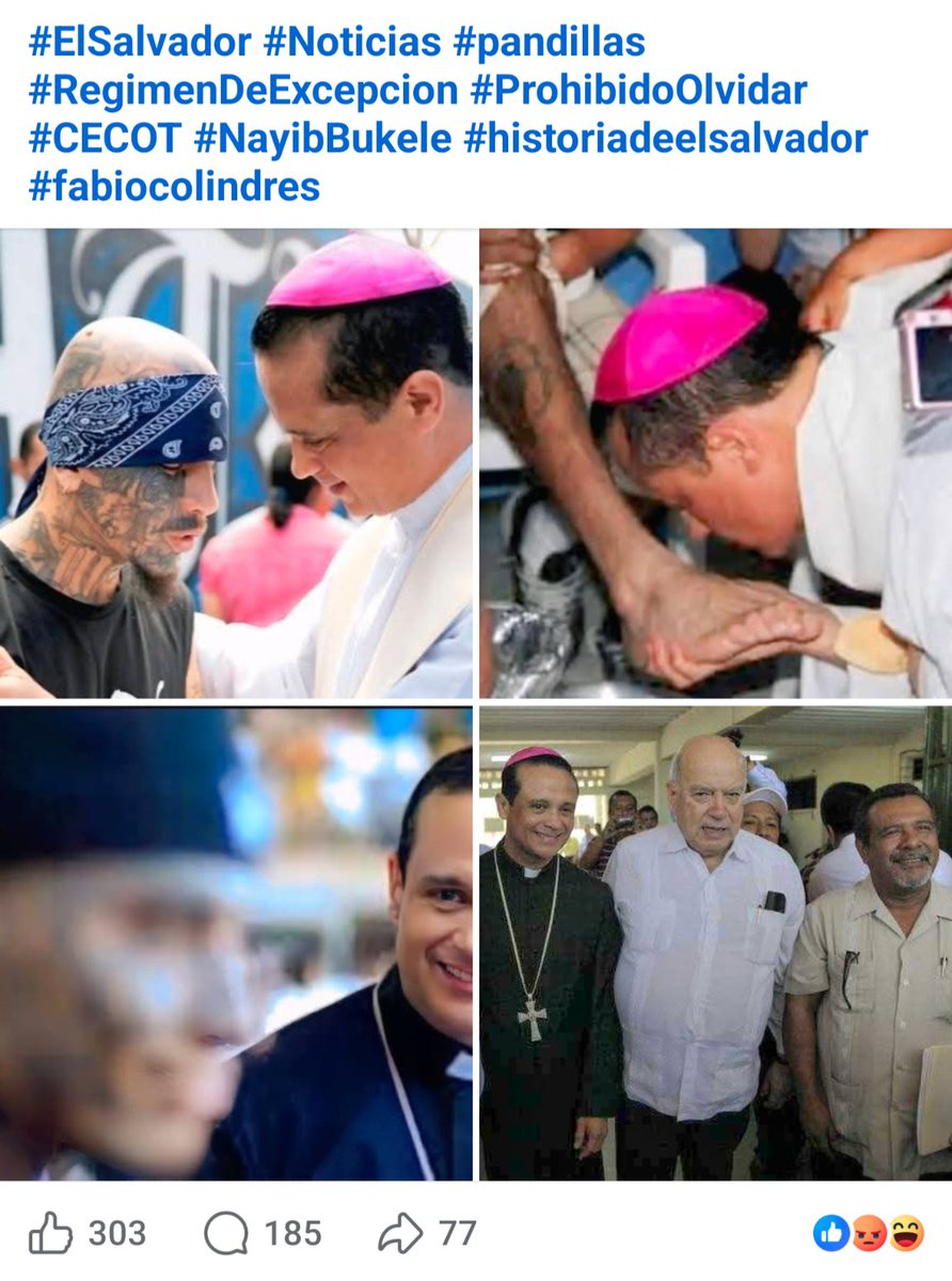 MrFender 🇸🇻 tweet media