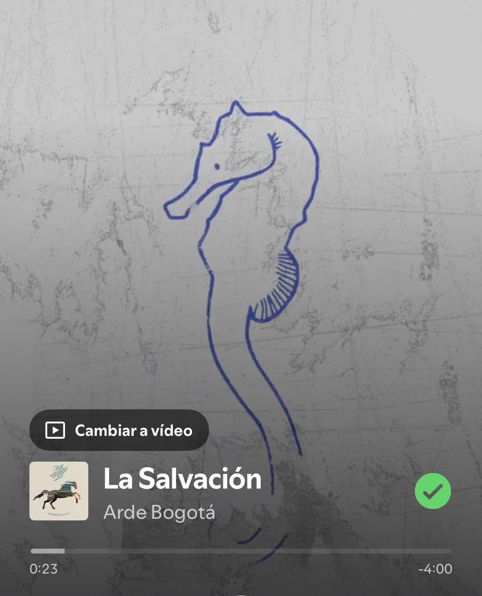 Alex | LA 2 🇮🇹🏆 tweet media