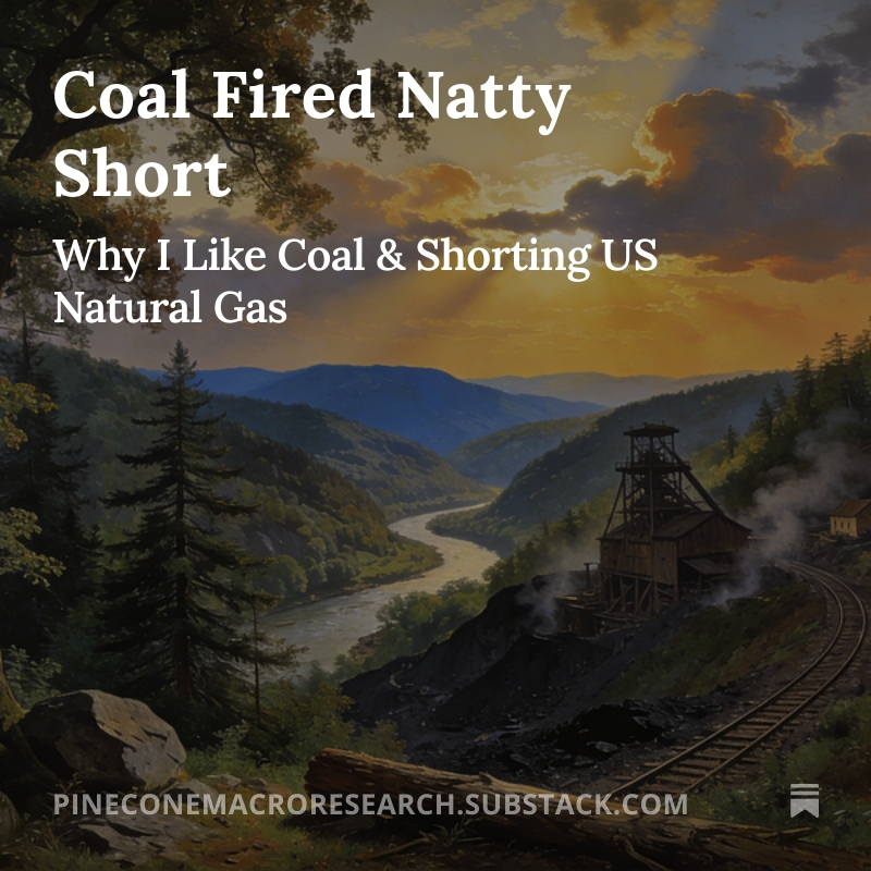 𝐏𝐢𝐧𝐞𝐜𝐨𝐧𝐞 𝐌𝐚𝐜𝐫𝐨 tweet media