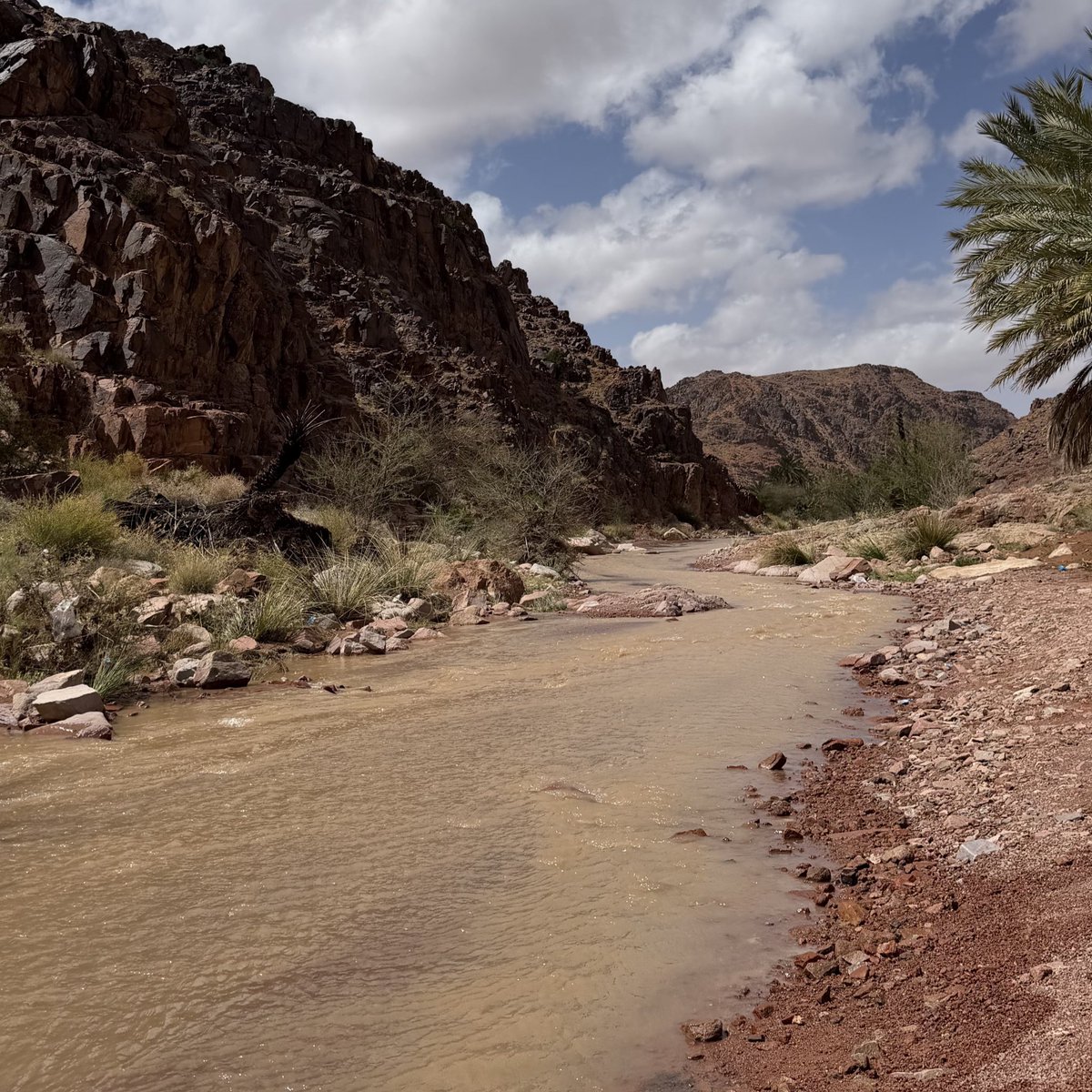1elzk's tweet photo. ان عطشنا نشرب العلقم زلال 
وان روينا نمطر العذب ونسيل 

يا نديمة خاطري مابي خمال 
غير شومي عن مساليك الذليل

استحي من جيتن تسبق تعال 
الكريم بدفق ماء وجهه بخيل https://t.co/zPpGoPDYfx