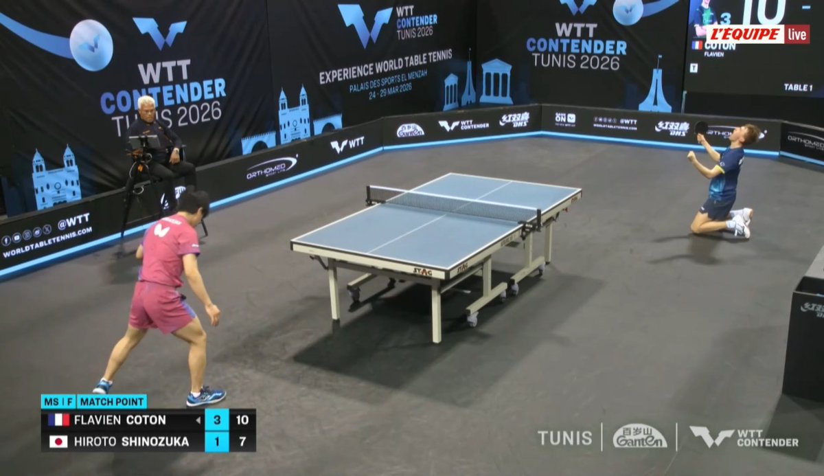 Actu Ping 🏓 tweet media