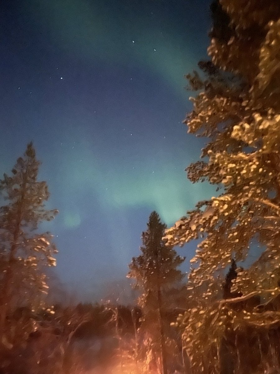 AllEliteGem tweet media