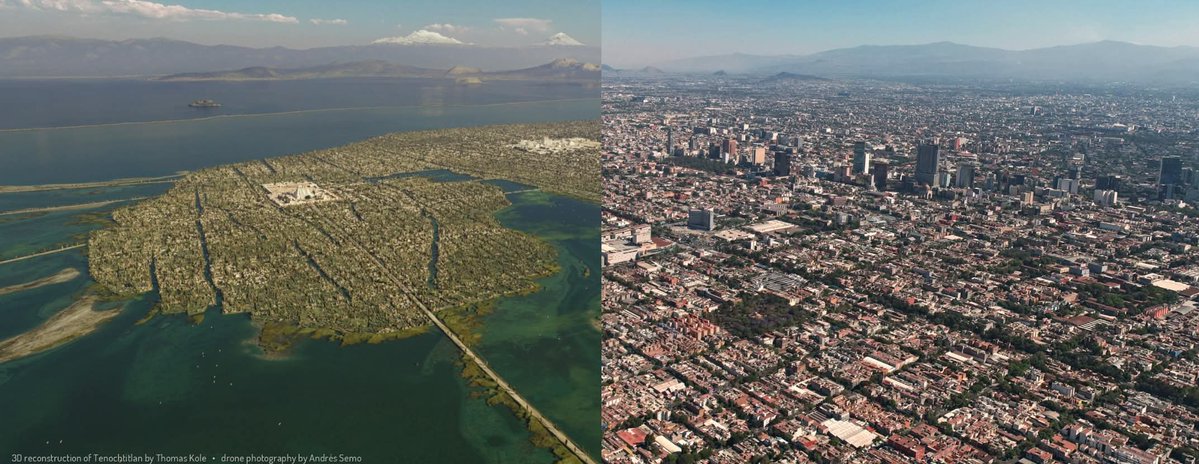 Sofía Guadarrama Collado tweet media