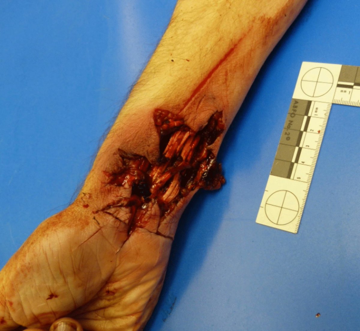 ˚꒰🇫🇷꒱ 𝔍𝔞𝔠𝔬𝔟 𝔬𝔣 𝔤𝔬𝔯𝔢𝔱𝔴𝔱 一緒 tweet media