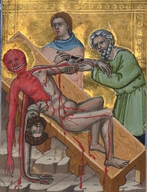 Wild Videos tweet media