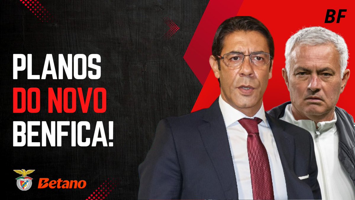 Bruno Francisco tweet media