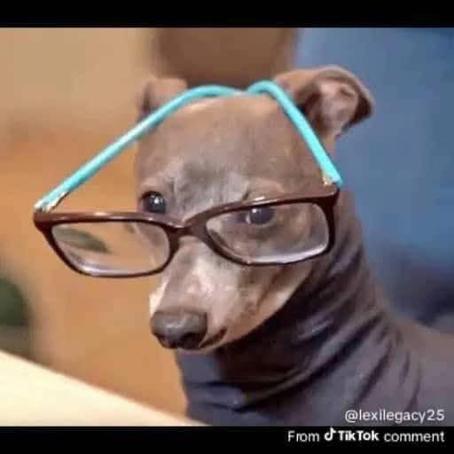 Handsome😊 tweet media