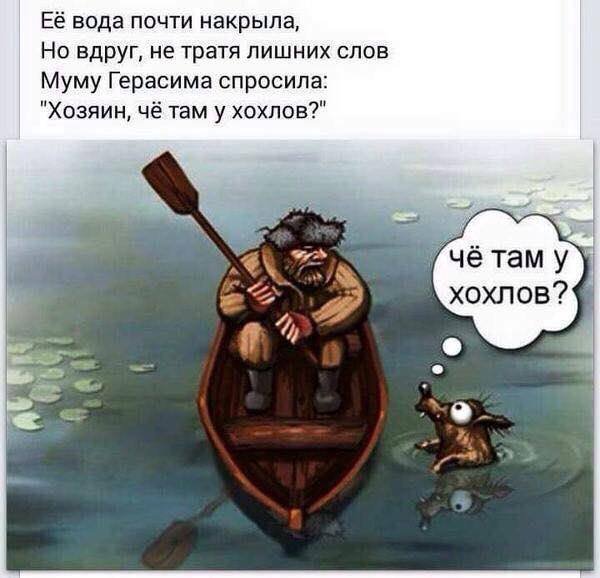 deutsche & Ґавана 🇺🇦 tweet media