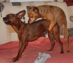 Mutoni Audreille tweet media