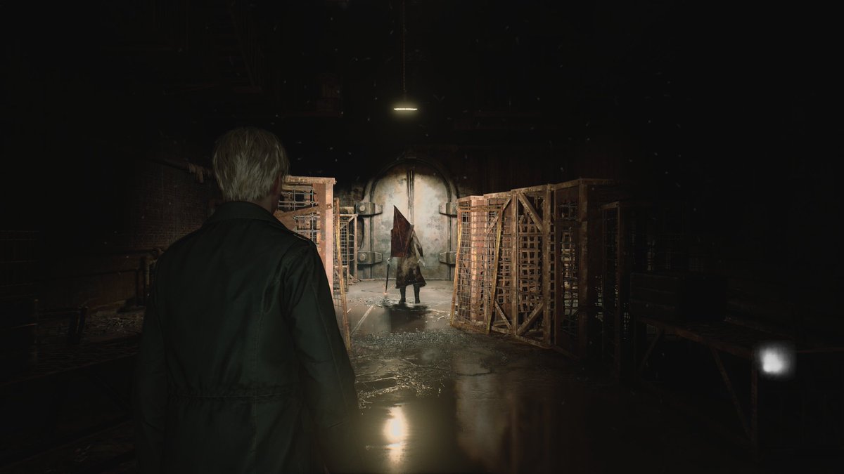 Kápel 🐻⚙️🧡 tweet media