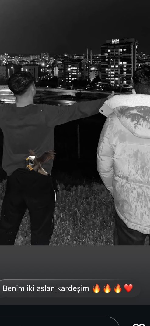 nurolduhttp tweet media