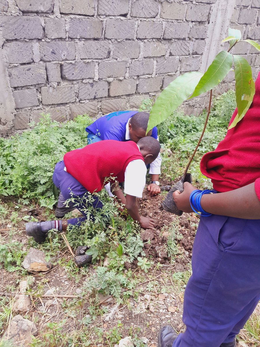 EcoclimateKenya's tweet photo. Climate education is an infrastructure. Through the #GreeandCleanSchools Project, we’re embedding practical climate literacy into the rhythm of  schools, because children in informal settlements deserve more than #awareness. They deserve tools, #leadership, and action.
#Youth https://t.co/NTyFlFdgvK