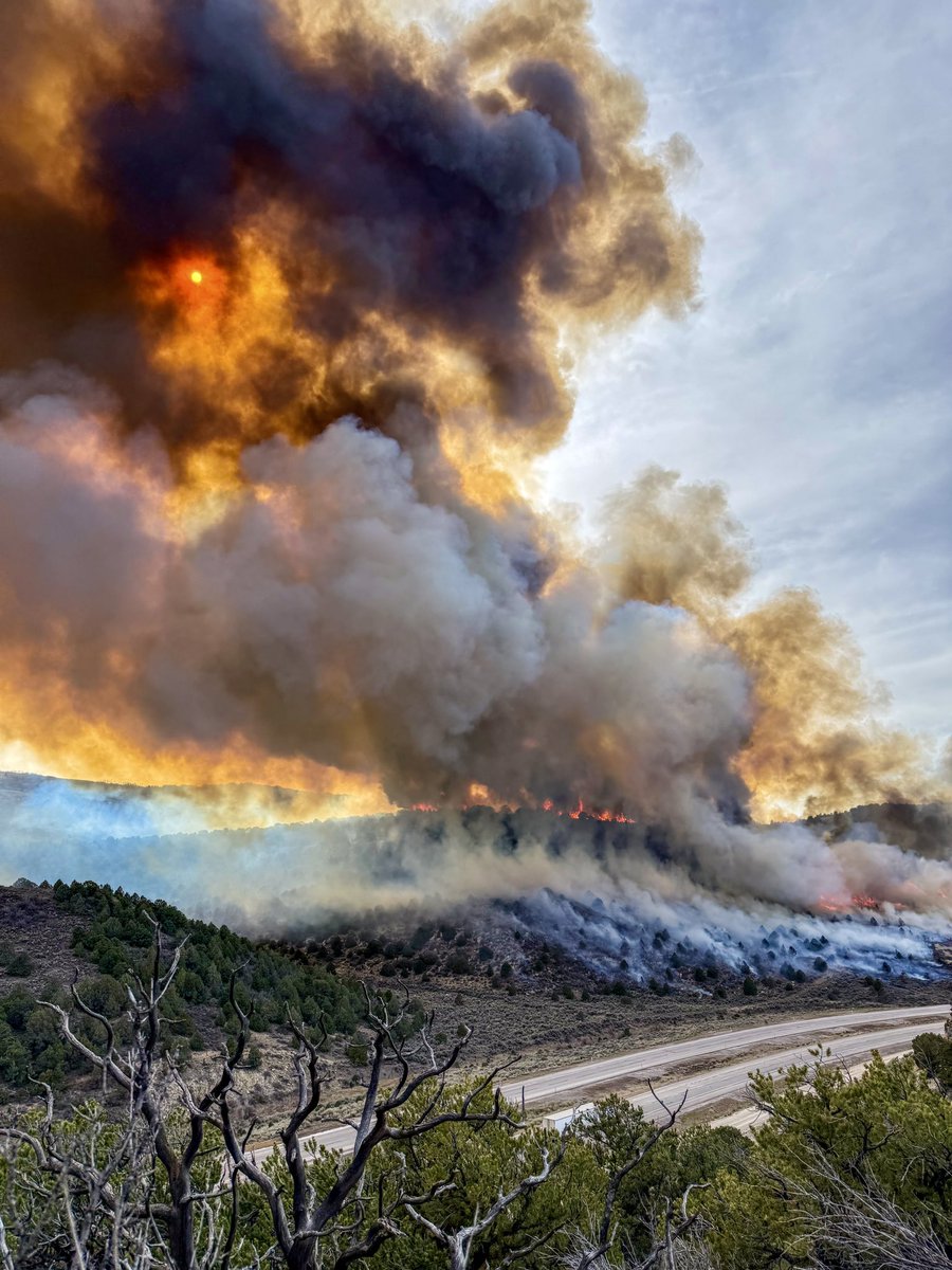 JasonKling2's tweet photo. A great week on the Fishlake NF with more spring cleaning! Our federal, state, county, and city folks teamed up and prescribe burned about 6,500 acres near Moroni Peak east of Salina, UT. The timing of this burn was great. Next week rain, snow, and colder temps are forecasted. https://t.co/HHXCcAS7UW
