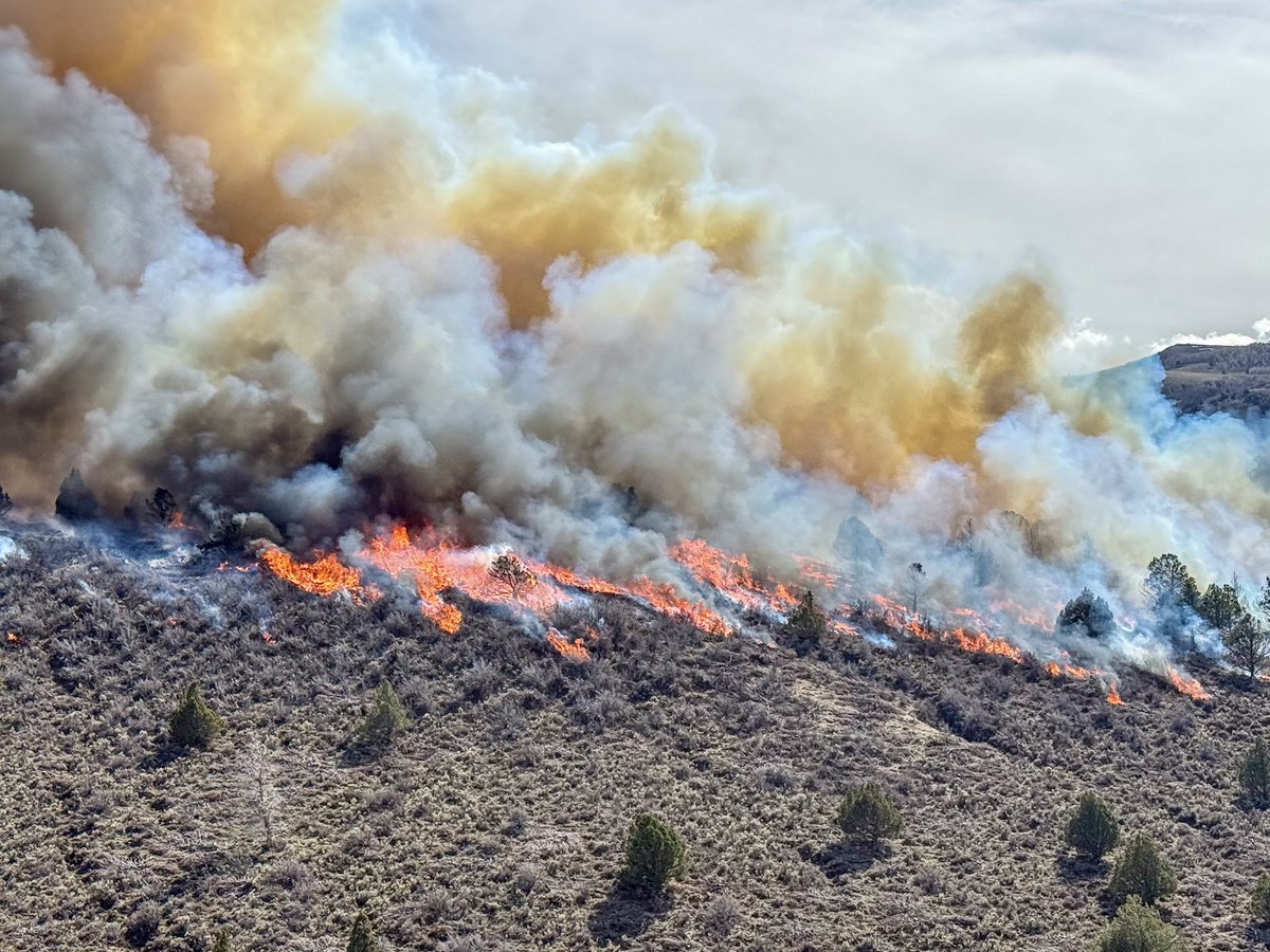 JasonKling2's tweet photo. A great week on the Fishlake NF with more spring cleaning! Our federal, state, county, and city folks teamed up and prescribe burned about 6,500 acres near Moroni Peak east of Salina, UT. The timing of this burn was great. Next week rain, snow, and colder temps are forecasted. https://t.co/HHXCcAS7UW
