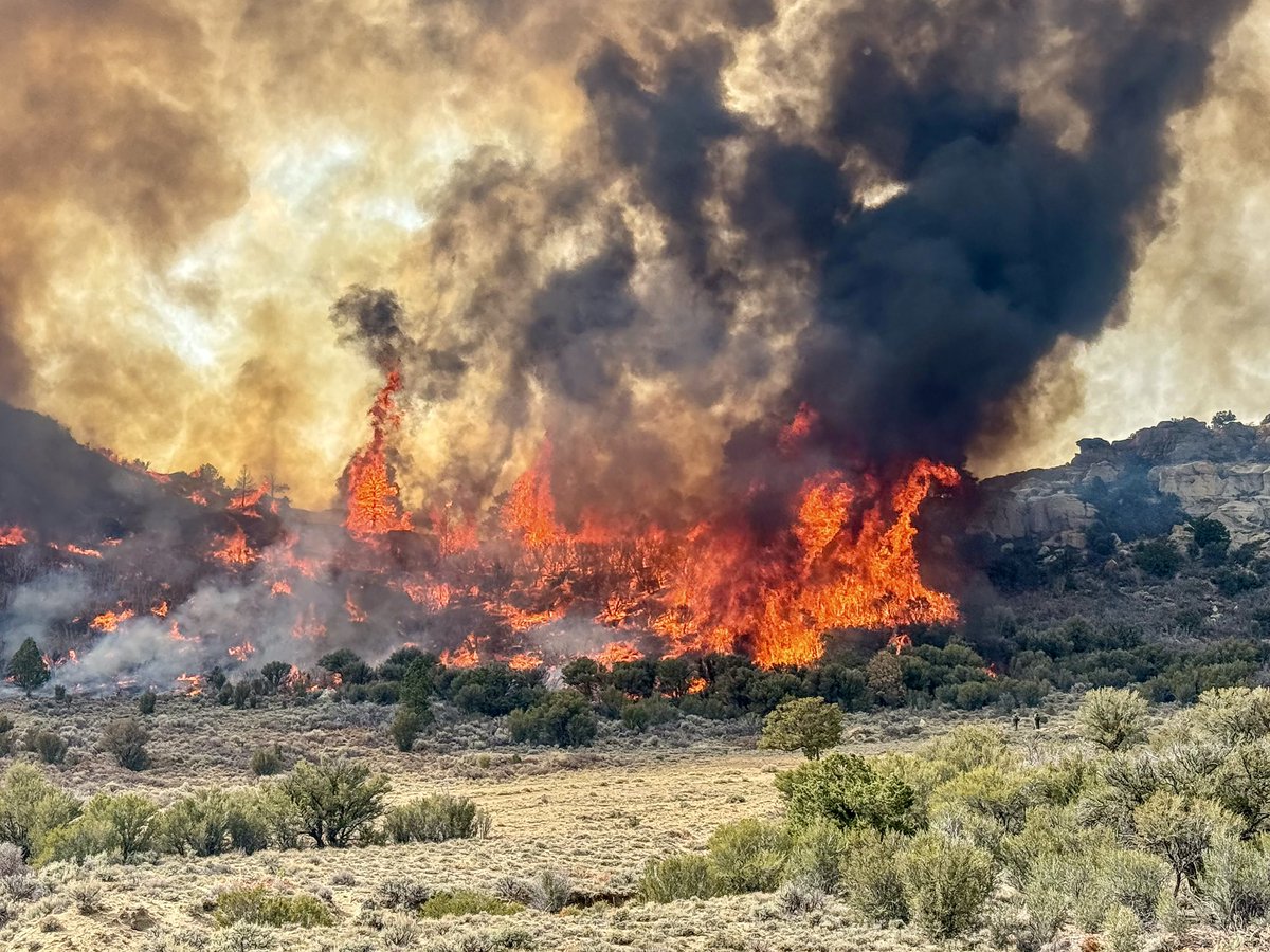 JasonKling2's tweet photo. A great week on the Fishlake NF with more spring cleaning! Our federal, state, county, and city folks teamed up and prescribe burned about 6,500 acres near Moroni Peak east of Salina, UT. The timing of this burn was great. Next week rain, snow, and colder temps are forecasted. https://t.co/HHXCcAS7UW