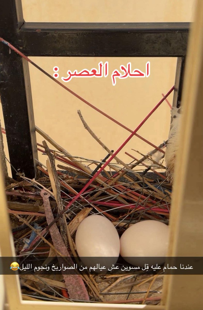 ًً tweet media