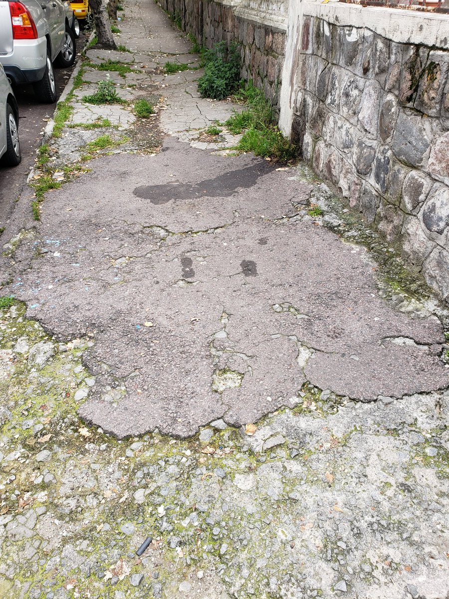 Marcos Serrano-Dueñas, etc. tweet media