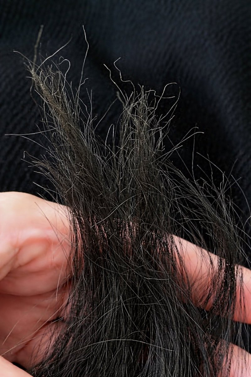 سام | sam tweet media