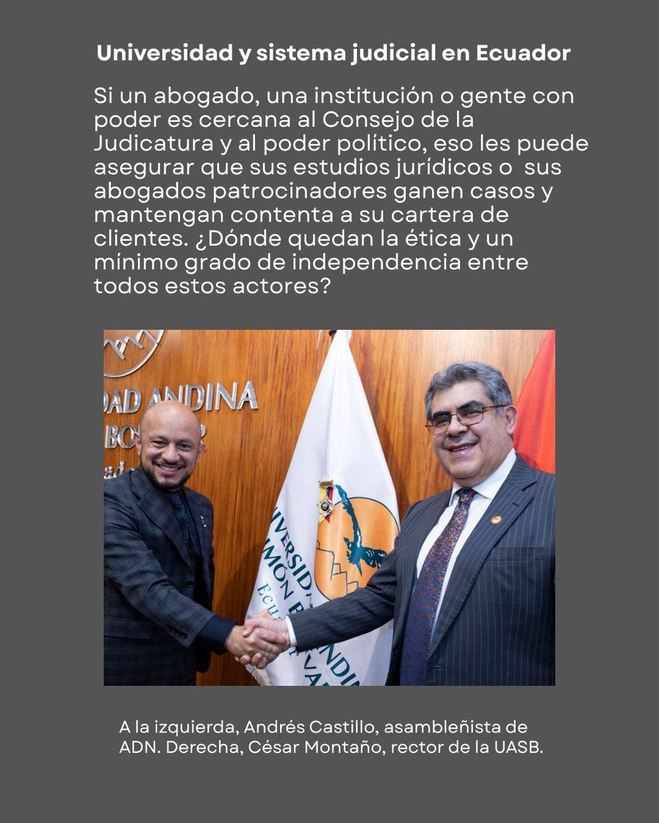 Desobediencia Feminista tweet media