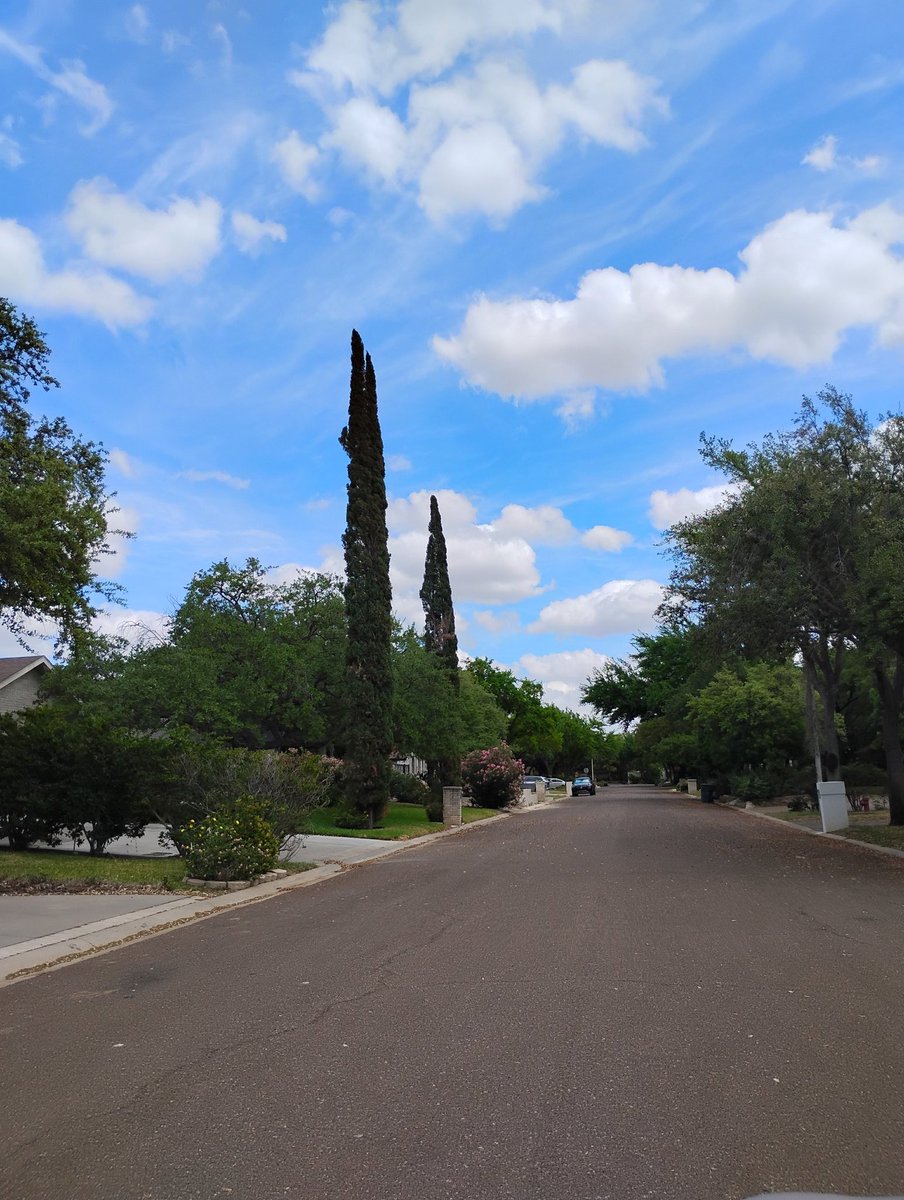 AllthingsKeyrose tweet media