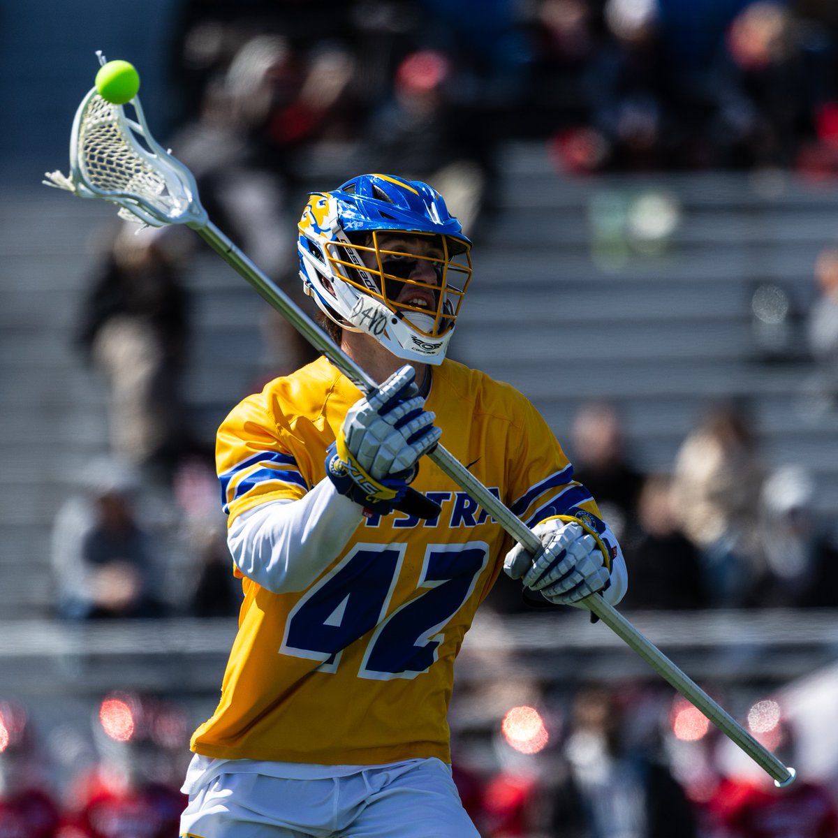 Hofstra Men's Lacrosse tweet media