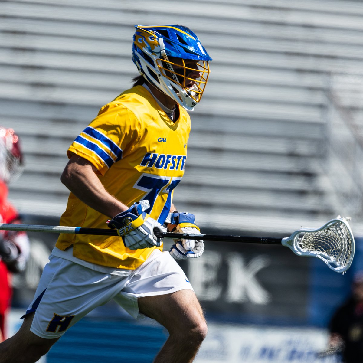 Hofstra Men's Lacrosse tweet media