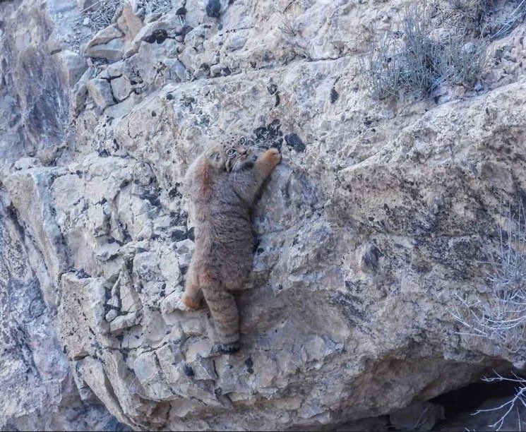 Tom Valentino tweet media