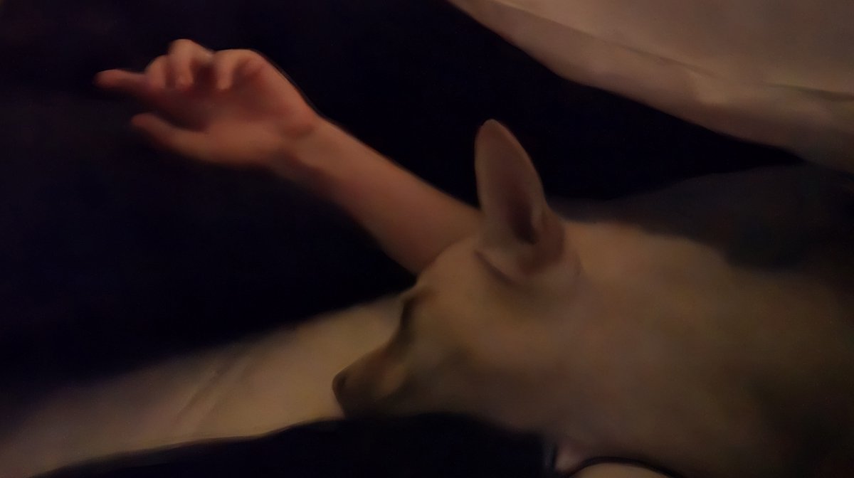 오달죽 tweet media