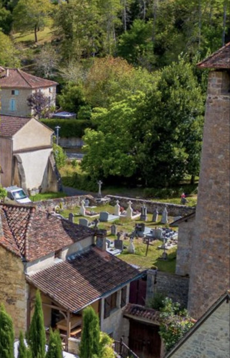 Sean 🇯🇵🇺🇸 tweet media