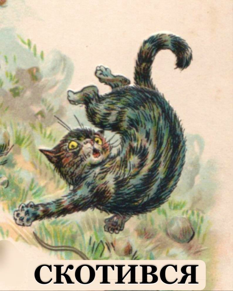 𖦹 Weird Swirl 𖦹 tweet media