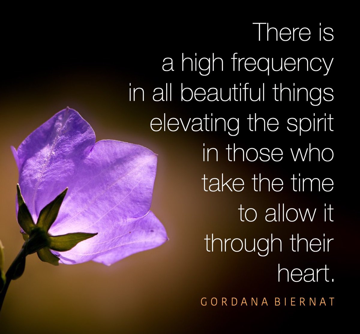 Gordana Biernat tweet media