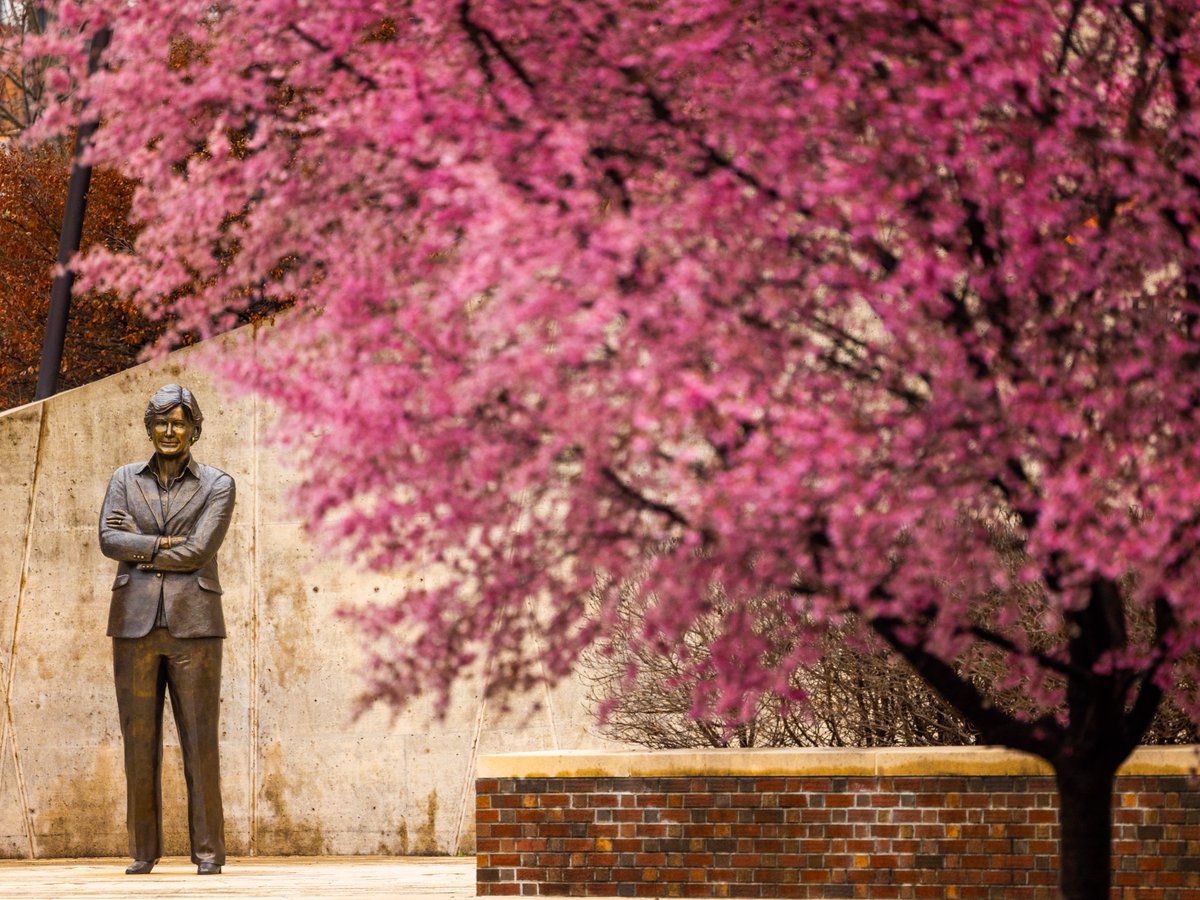 UT Knoxville Alumni tweet media