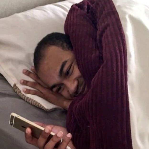 ali fireheart 🦋⋆.ೃ࿔ hollanov tweet media